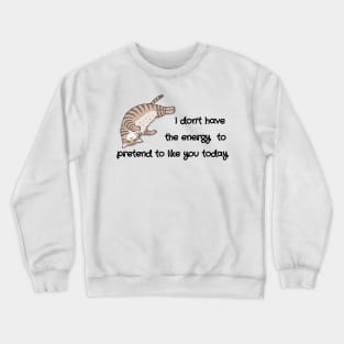 I don't have the energy to pretend to like you today Crewneck Sweatshirt